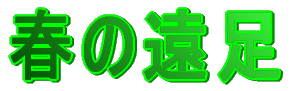 �t�̉���