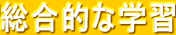 �����I�Ȋw�K