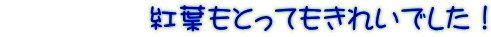 �@�@�@�@�@�g�t���Ƃ��Ă����ꂢ�ł����I